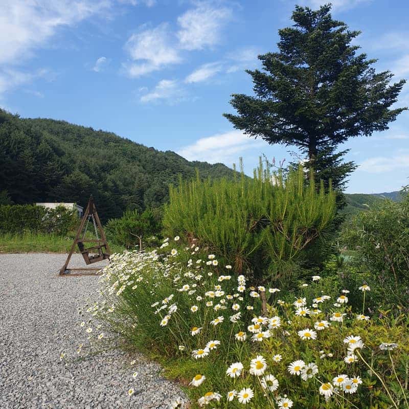 [평창] 구들스테이+웰니스체험+바베큐 피크닉(선택) 사진 7