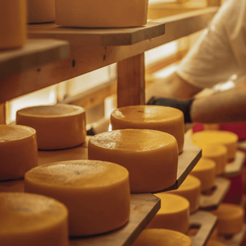 2인 체험권 🧀쭈~욱 늘어나는 치즈 만들기🧀