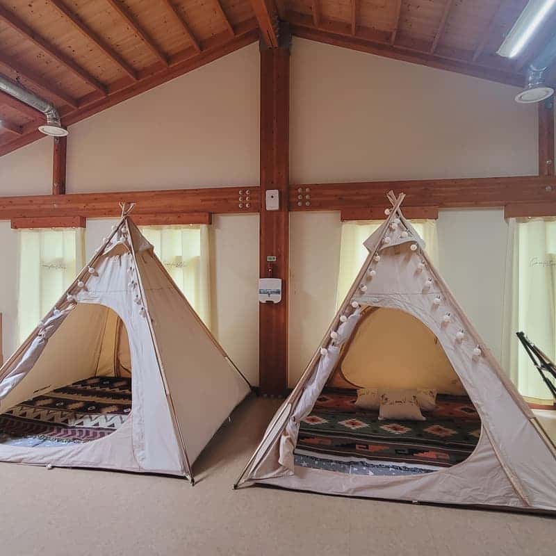 [나주/1박] 반려견동반+팜쿠킹 바베큐파티+한방 힐링 사진 3