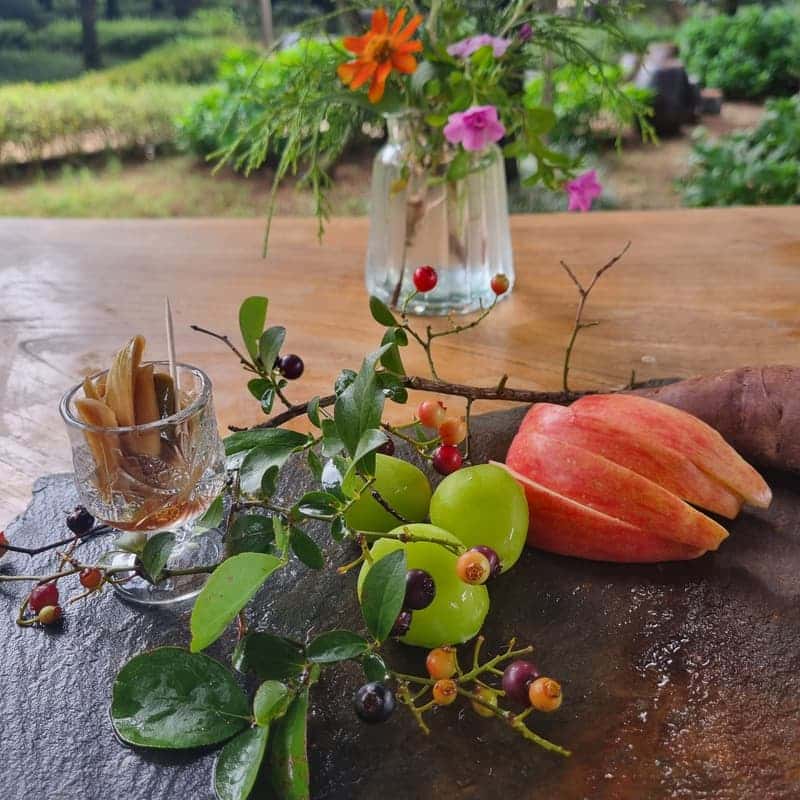 [구례/1박] 지리산 풍경, 향나무숲정원+걷기명상+식사1끼🌲 사진 5