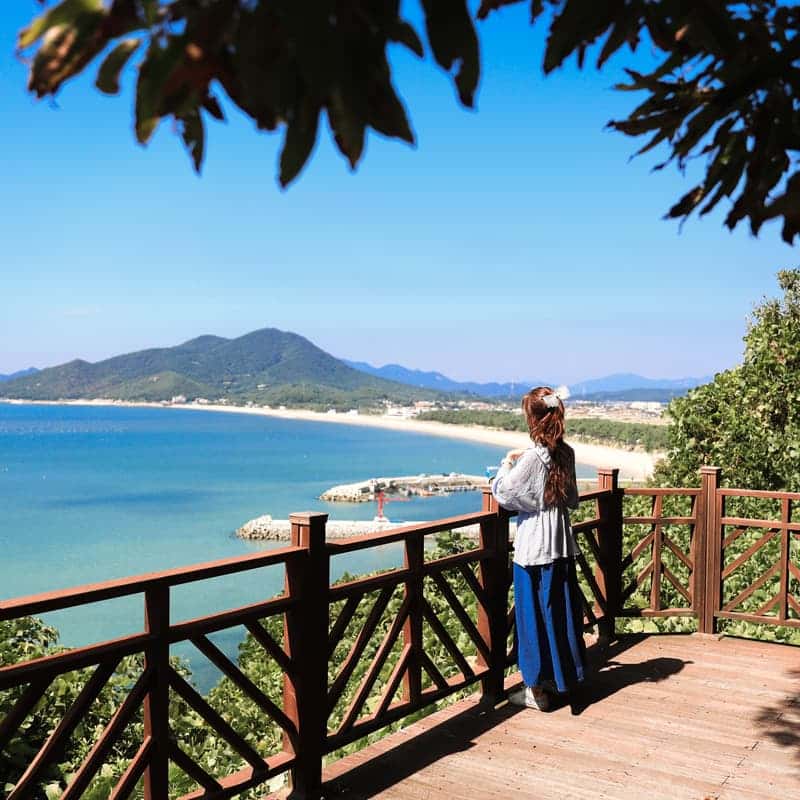 [완도/1박] 울모래 소리산책ㅣ바다유리 공예+완도의 부엌+바다치유길 🌊 사진 6