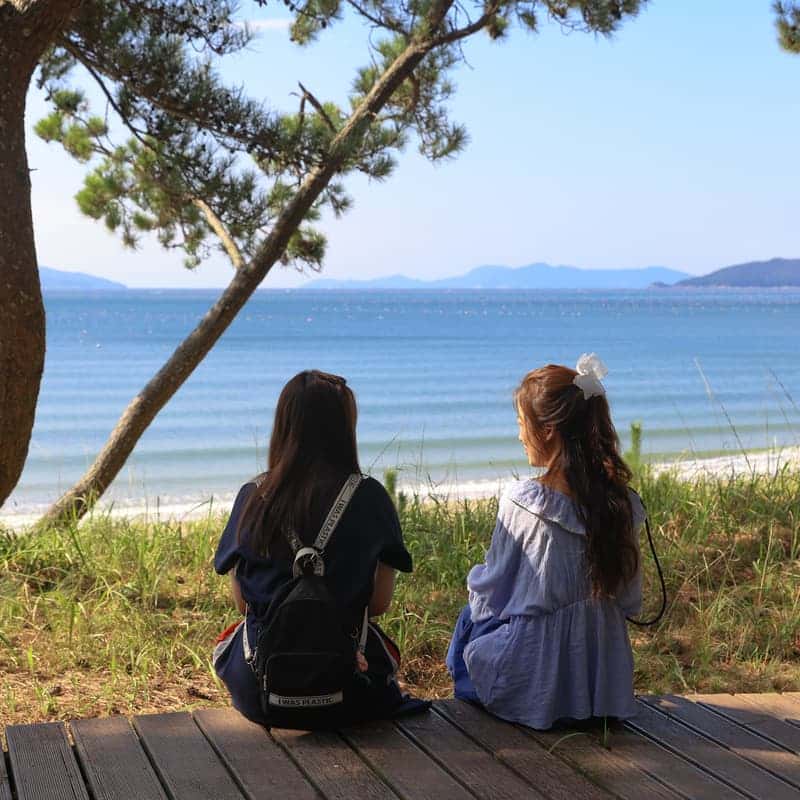 [완도/1박] 울모래 소리산책ㅣ바다유리 공예+완도의 부엌+바다치유길 🌊 사진 5