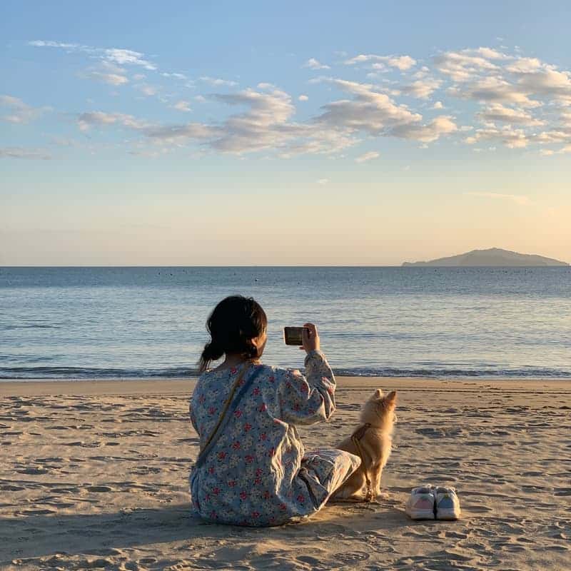 [완도/1박] 울모래 소리산책ㅣ바다유리 공예+완도의 부엌+바다치유길 🌊 사진 4