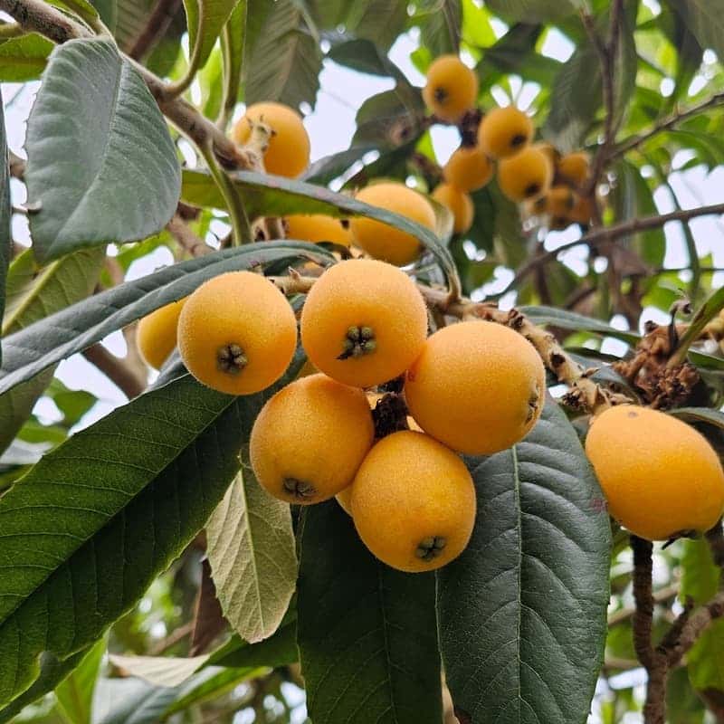 [완도/1박] 울모래 소리산책ㅣ바다유리 공예+완도의 부엌+바다치유길 🌊 사진 8