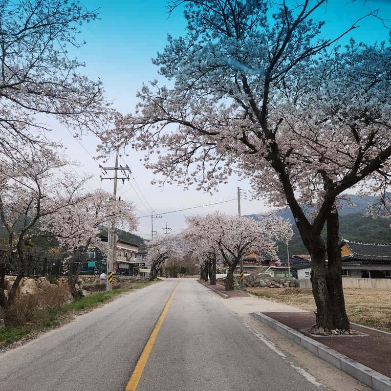 [남원/당일] 족욕부터 수액까지, 지리산 수세미 체험 사진 4