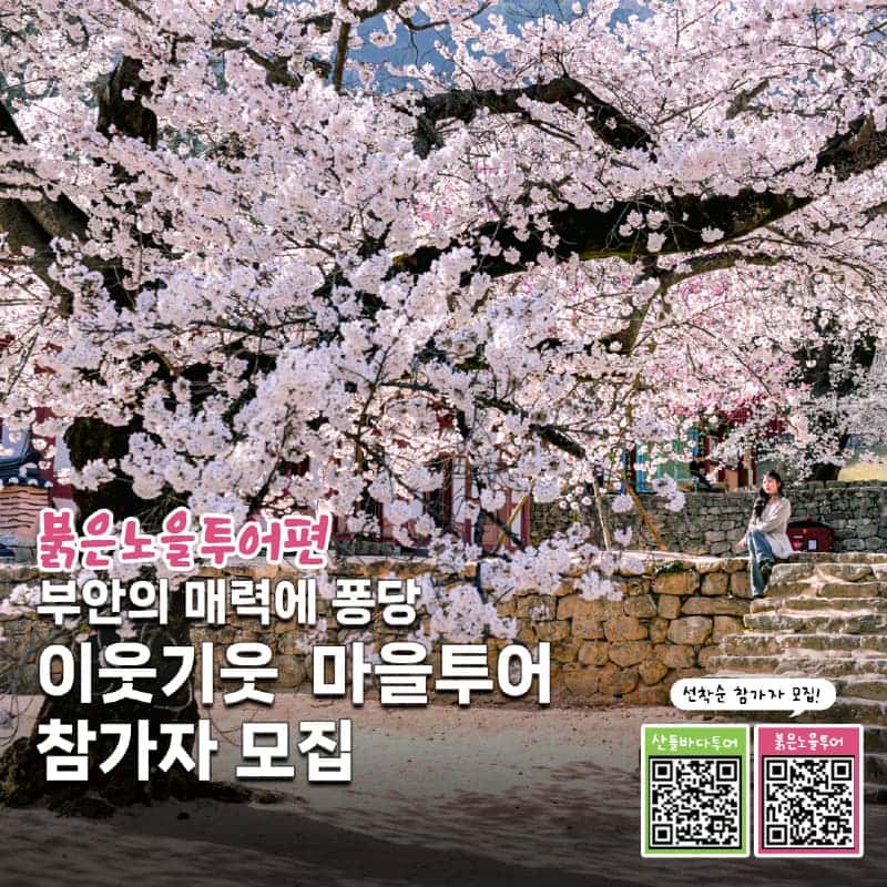 [부안/당일] 토마토농장+슬지제빵소+내소사+곰소항 사진 1