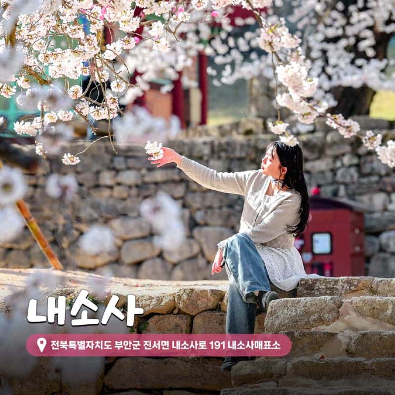 [부안/당일] 토마토농장+슬지제빵소+내소사+곰소항 사진 2