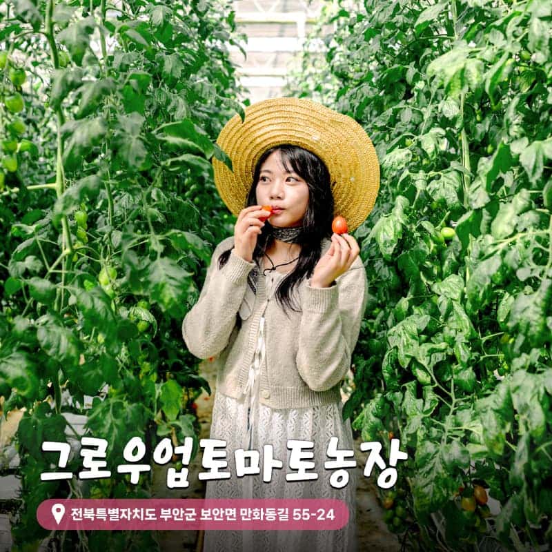 [부안/당일] 토마토농장+슬지제빵소+내소사+곰소항 사진 5