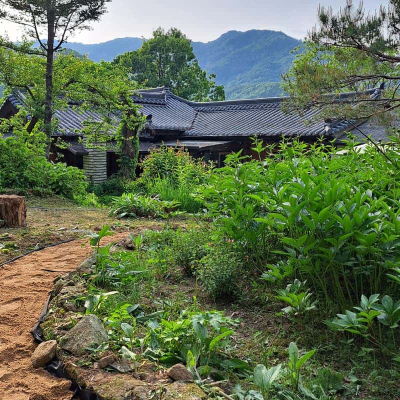 꽃비네 정원에서 티 피크닉 즐기기 사진 1