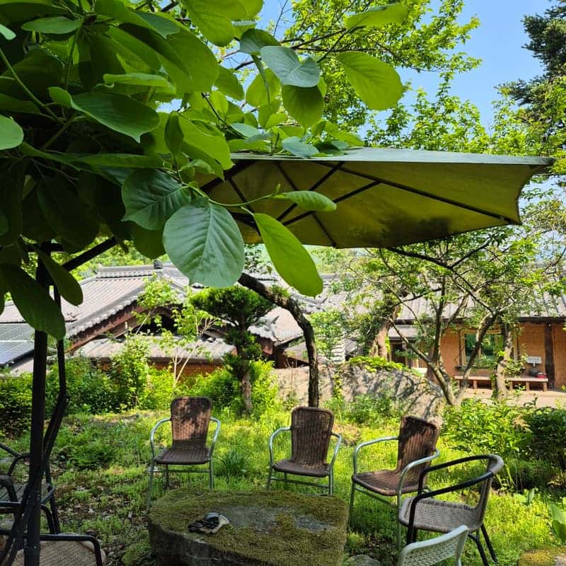 꽃비네 정원에서 티 피크닉 즐기기 사진 4