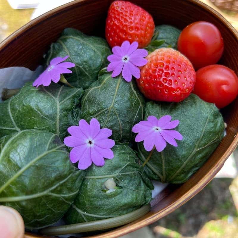 꽃비네 정원에서 티 피크닉 즐기기 사진 5