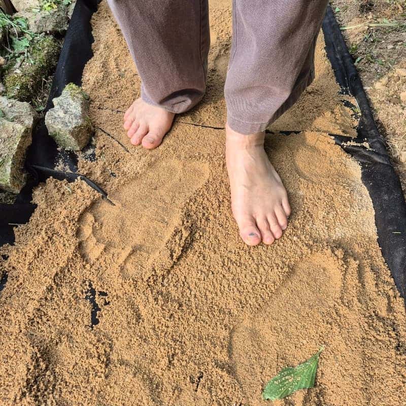 꽃비네 정원에서 티 피크닉 즐기기 사진 7