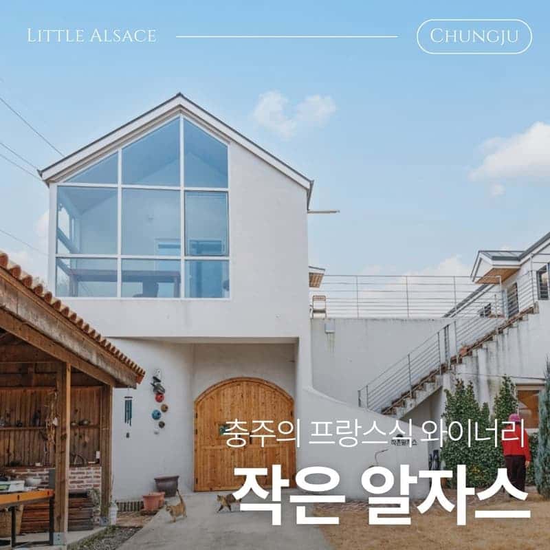 [충주/왕복차량제공] 인생도 와인도 내추럴하게, 작은알자스 와이너리 사진 2