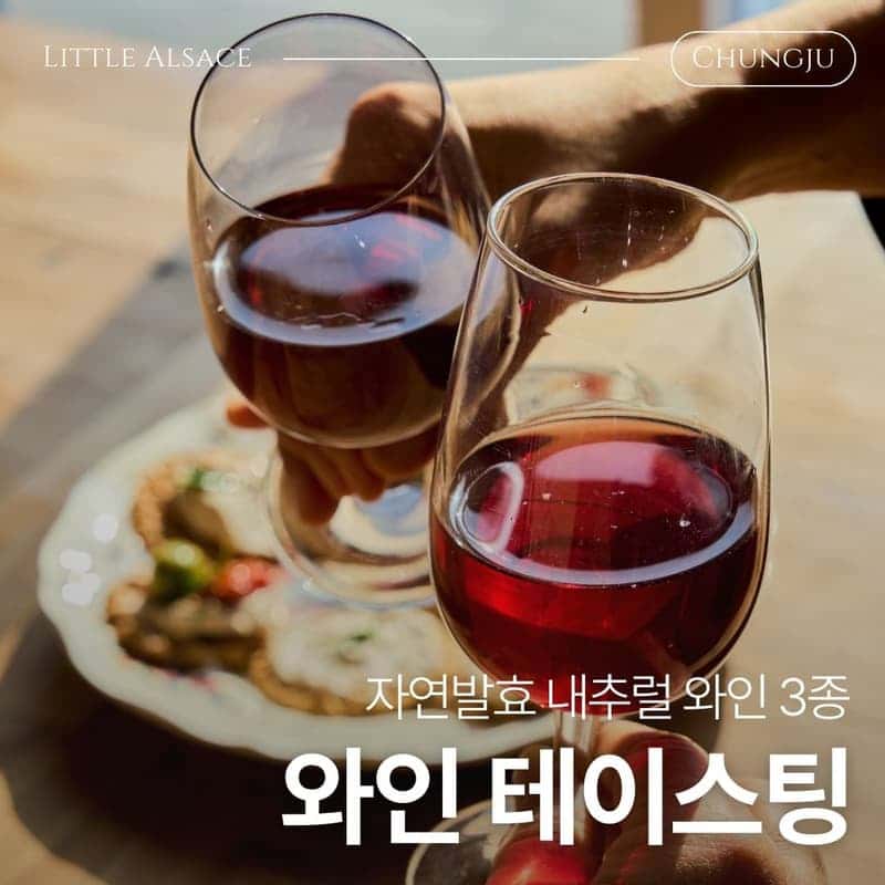 [충주/왕복차량제공] 인생도 와인도 내추럴하게, 작은알자스 와이너리 사진 4