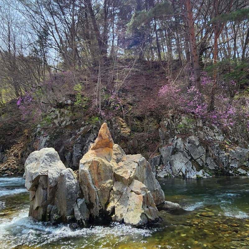 [홍천/1박]언니네 텃밭서리 + 에코염색 + 약초 족욕 사진 1
