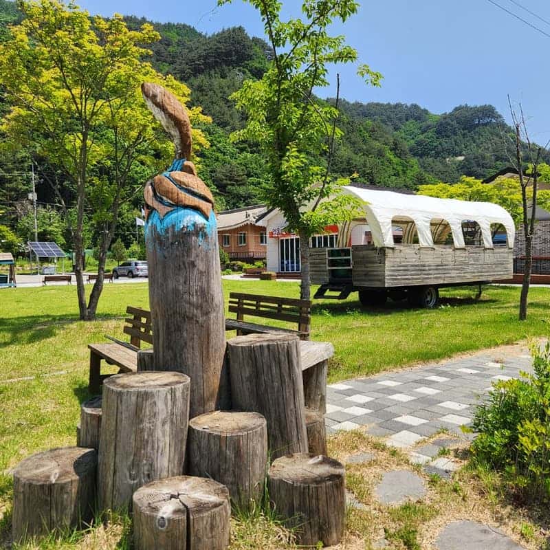 [홍천/1박]언니네 텃밭서리 + 에코염색 + 약초 족욕 사진 6