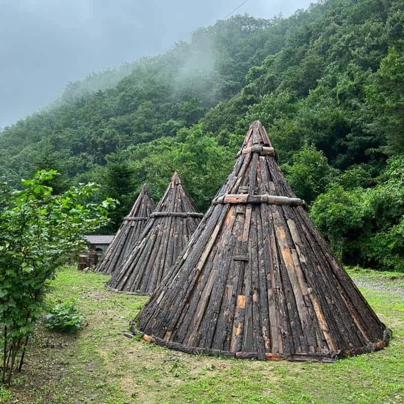 [횡성] 숲속 미식 여행 + 숲슐랭 트래킹 사진 2