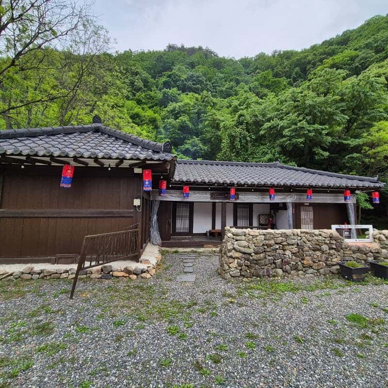 [횡성] 숲속 미식 여행 + 숲슐랭 트래킹 사진 5