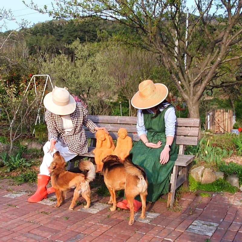 치유와 힐링 안락한 쉼터 황토온돌방 정읍리틀포레스트 사진 7