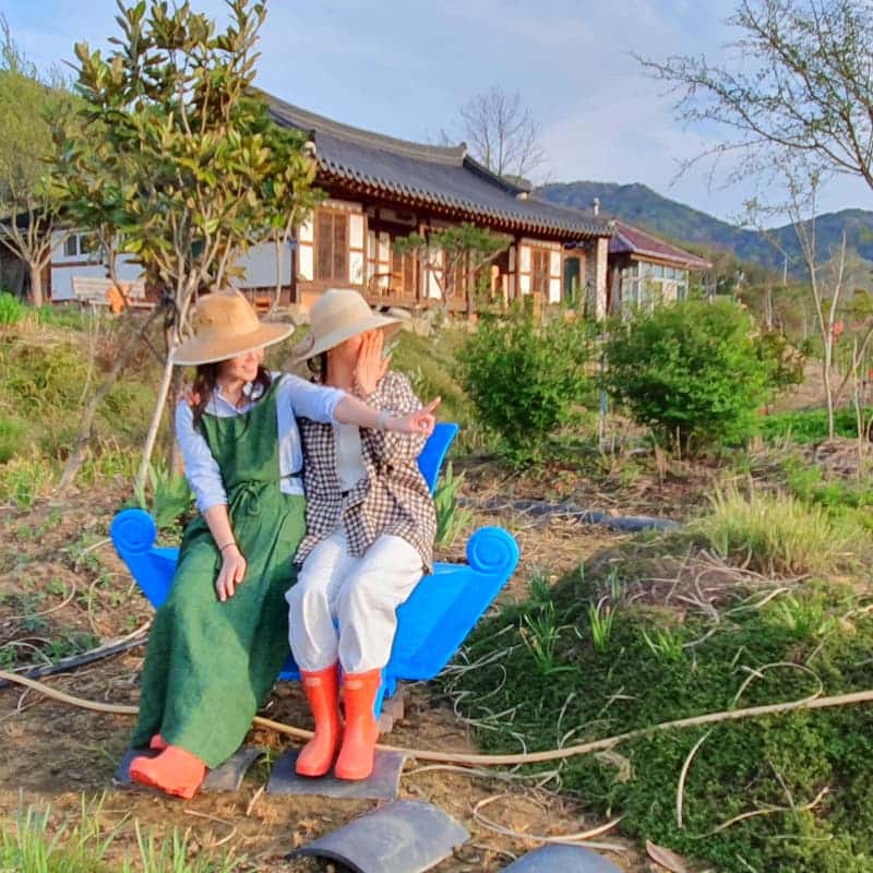 치유와 힐링 안락한 쉼터 황토온돌방 정읍리틀포레스트 사진 8