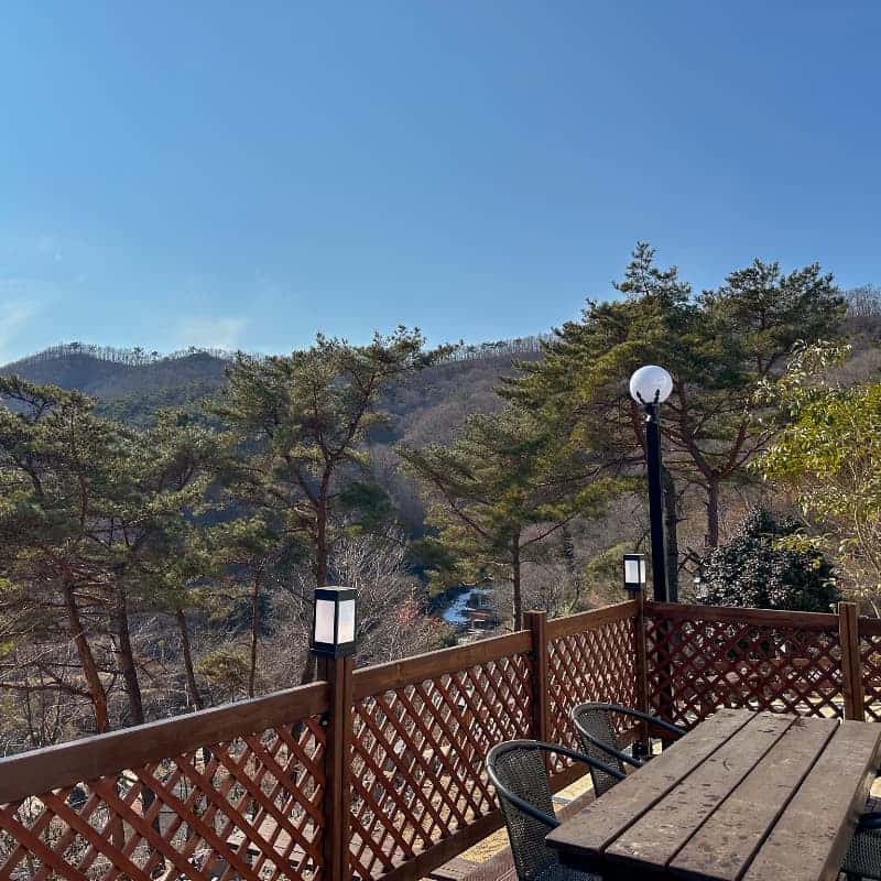 [장흥] 풍미 가득 표고버섯 체험 + 아로마 힐링 여행 사진 3