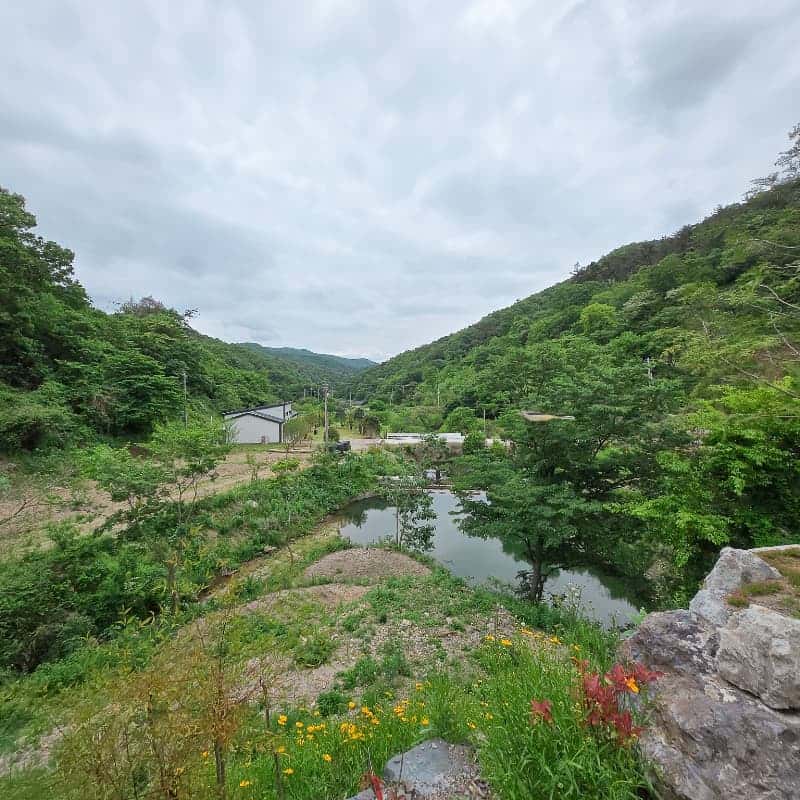 [장흥] 풍미 가득 표고버섯 체험 + 아로마 힐링 여행 사진 4