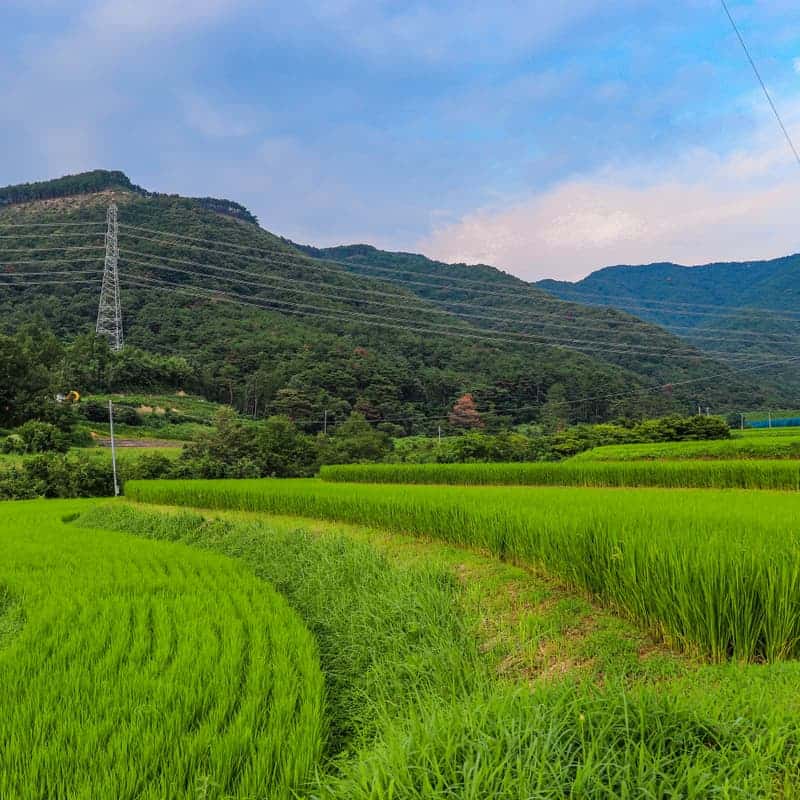 [포항] 텃밭과 마당이 있는 집에서 시골살이 체험 사진 2