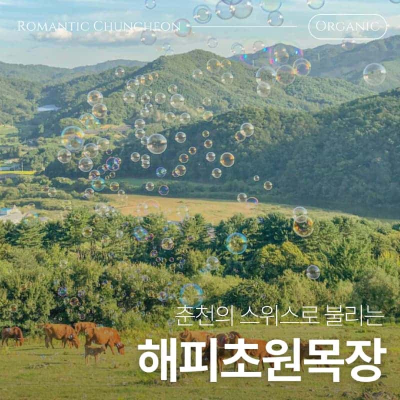 [춘천] 한국의 스위스에서, 도심 탈출 초록 여행 🌳 사진 2