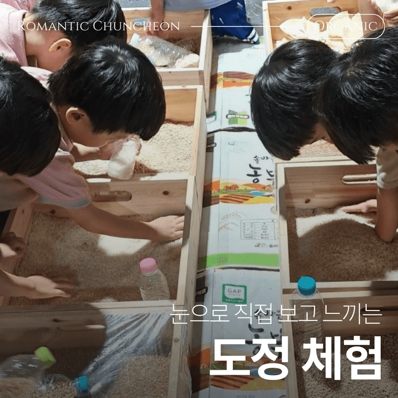 [춘천] 한국의 스위스에서, 도심 탈출 초록 여행 🌳 사진 4