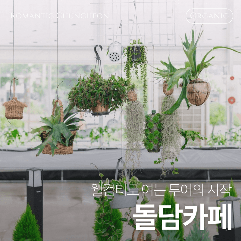 [춘천] 한국의 스위스에서, 도심 탈출 초록 여행 🌳 사진 6