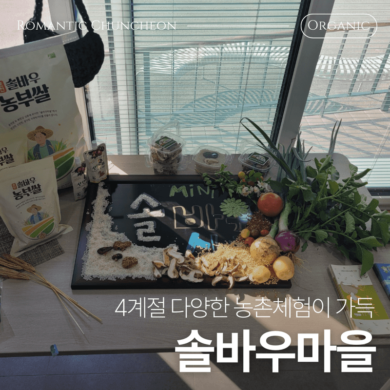 [춘천] 한국의 스위스에서, 도심 탈출 초록 여행 🌳 사진 7