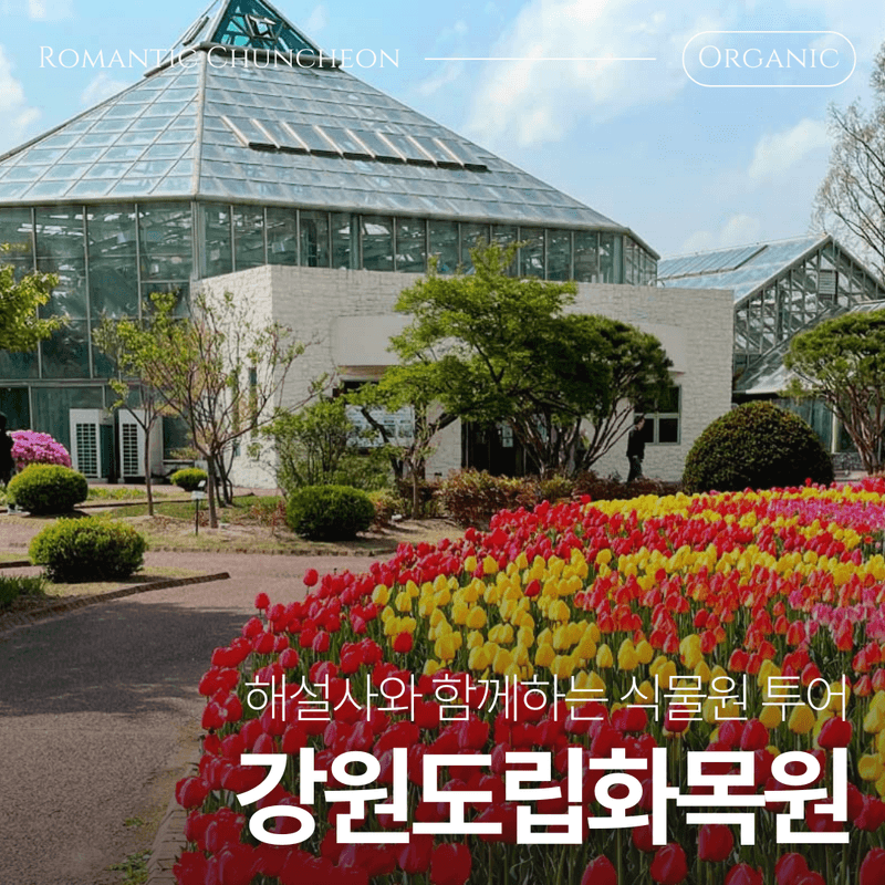 [춘천] 한국의 스위스에서, 도심 탈출 초록 여행 🌳 사진 5