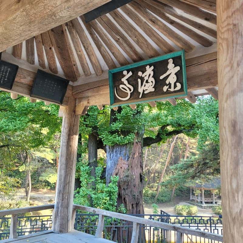 [당일/역사여행] 선비의 고장 영주 사진 2