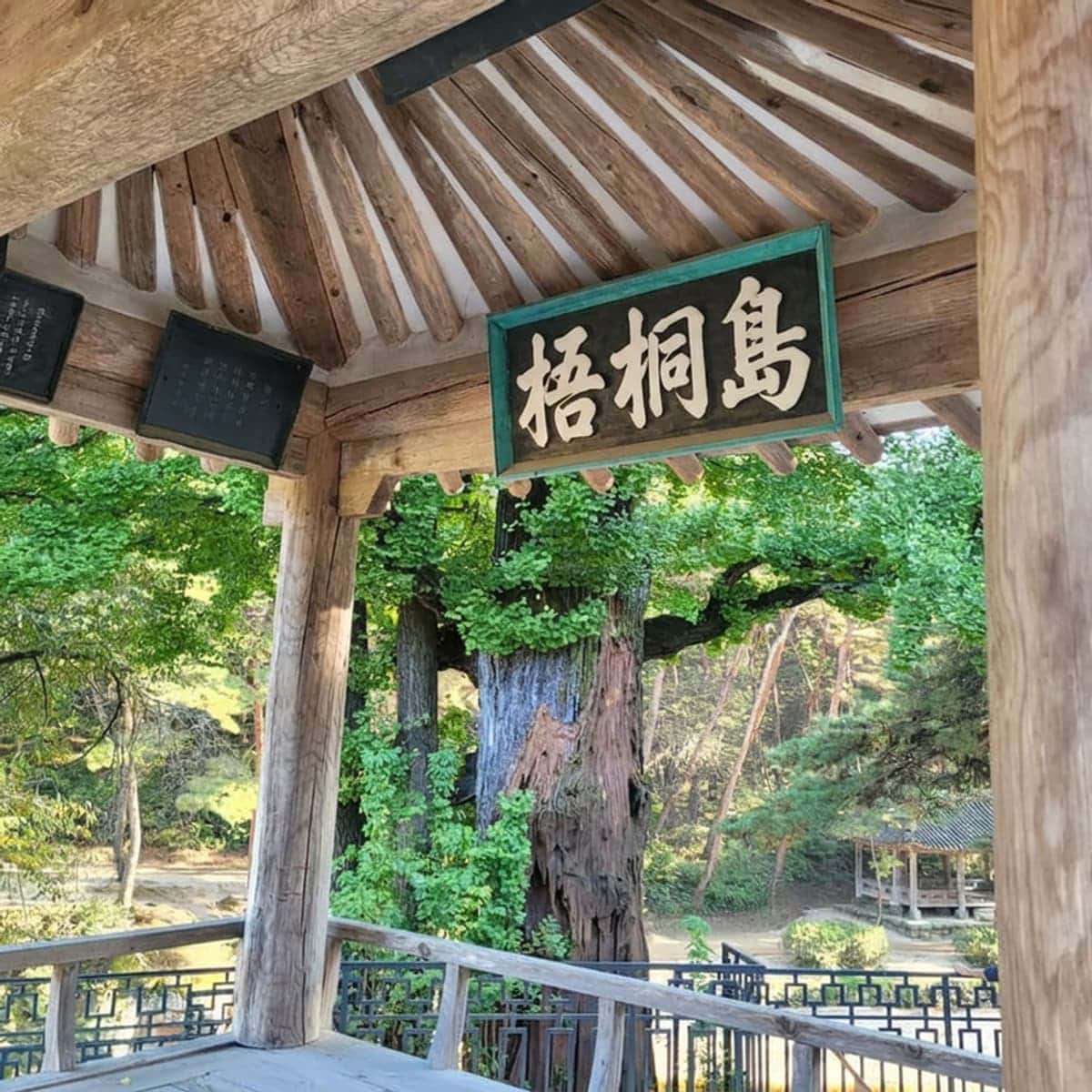 [日帰り/歴史旅行] ソンビの郷・栄州の写真2