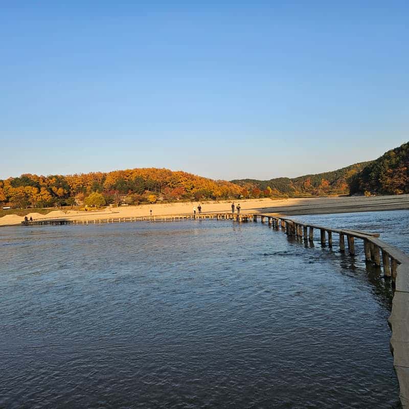[당일/역사여행] 선비의 고장 영주 사진 5