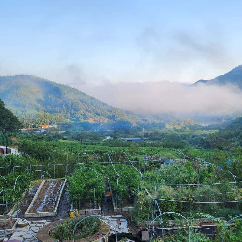 [순천] 한옥에서 하룻밤, 푸짐한 전라도 치유밥상 사진 7