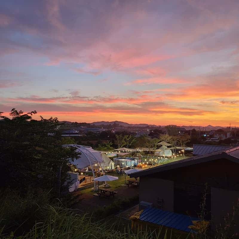 [나주/1박] 반려견동반+팜쿠킹 바베큐파티+한방 힐링 사진 6