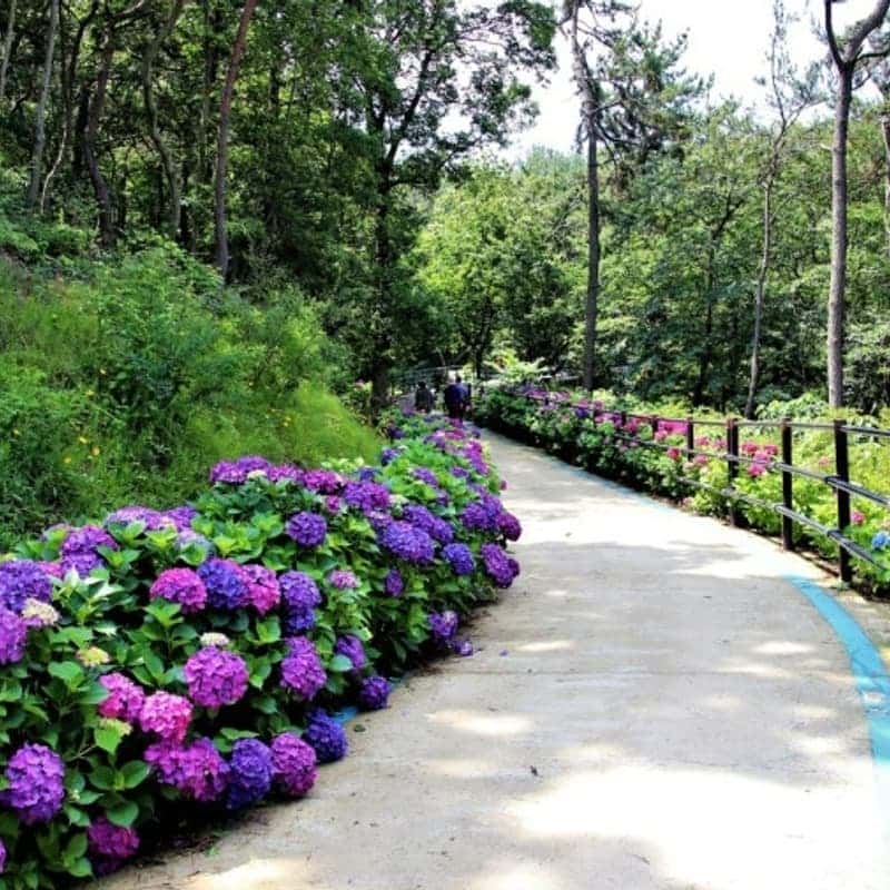 [나주/1박] 반려견동반+팜쿠킹 바베큐파티+한방 힐링 사진 7