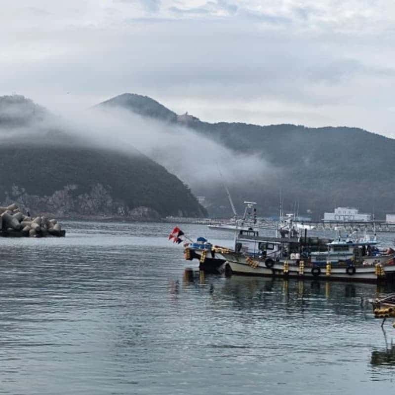 남해 배 타고 떠나는 유인섬 유람단 사진 5