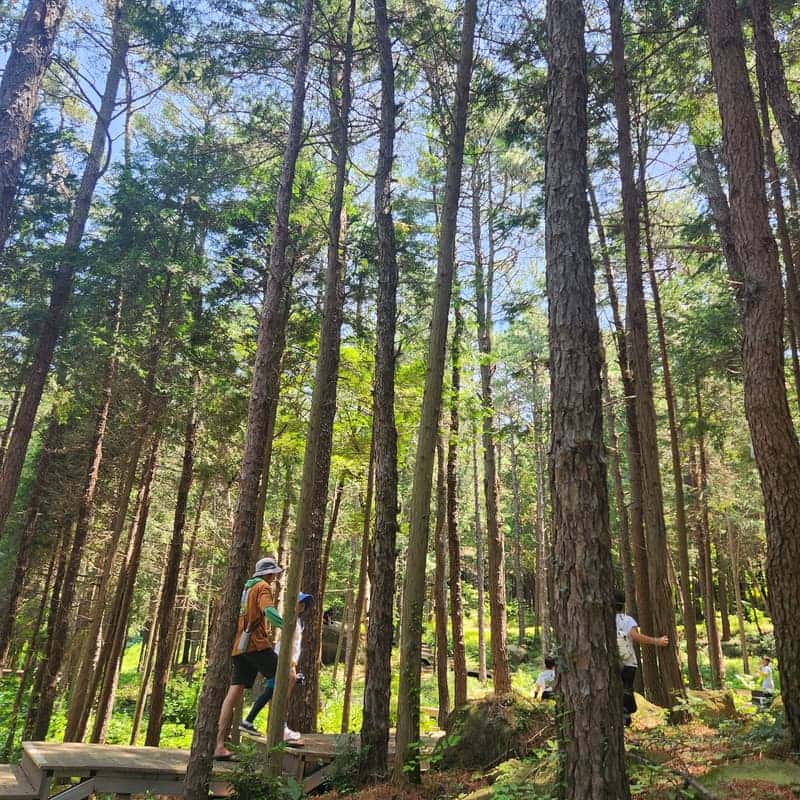 남해 배 타고 떠나는 유인섬 유람단 사진 8