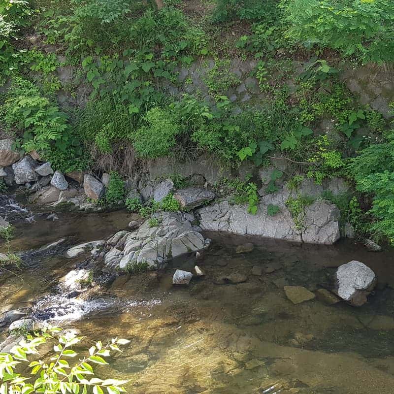 [아산/1박] 계곡에서 즐기는 천아트체험+셀프 바베큐 사진 7
