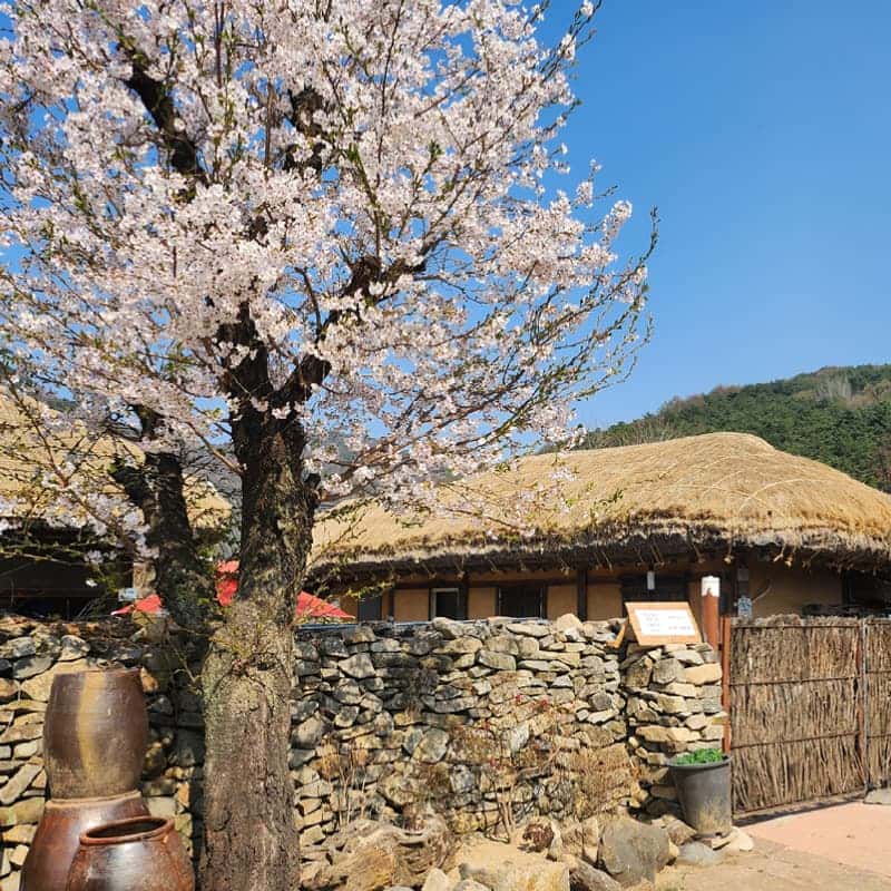 [아산] 외암민속마을, 한옥민박+엿만들기+시골밥상 사진 4