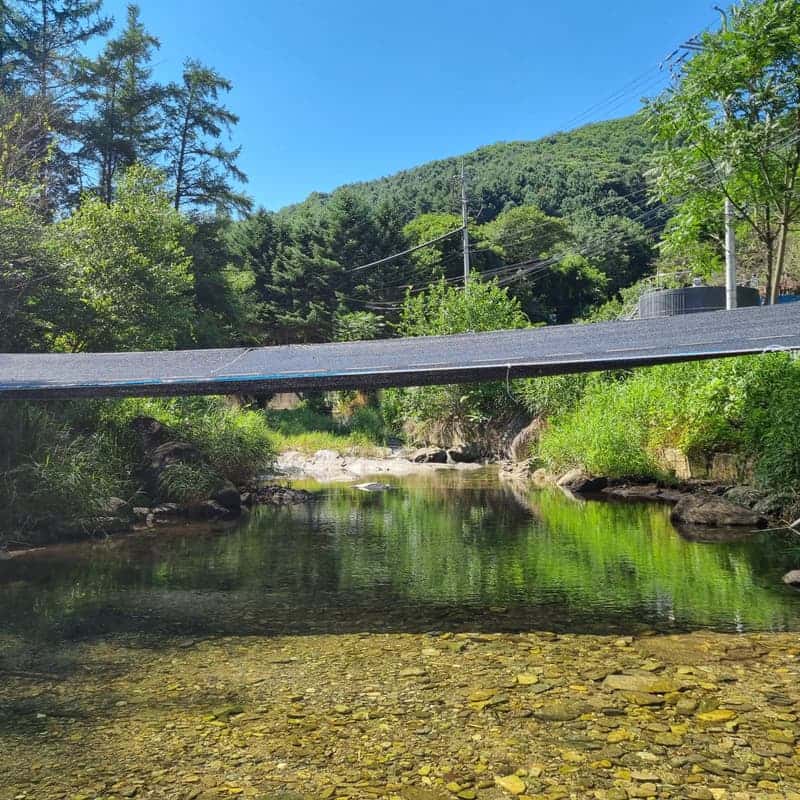 [춘천] 계곡 물놀이+고추장 만들기+토종닭 백숙 사진 1