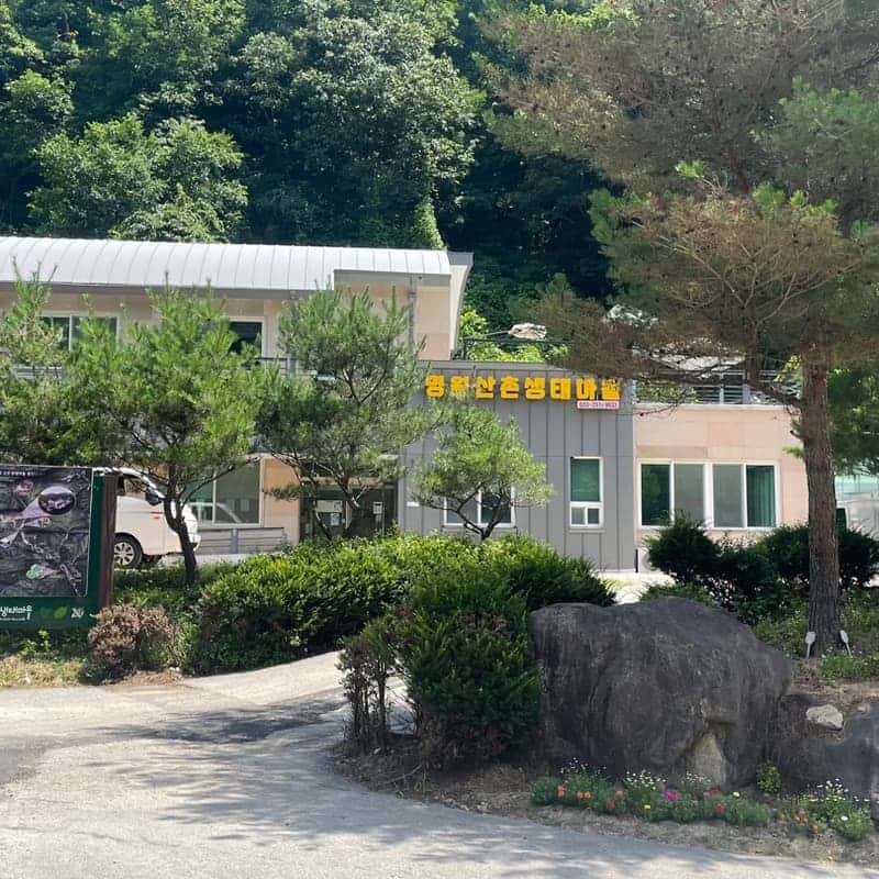 [춘천] 계곡 물놀이+고추장 만들기+토종닭 백숙 사진 2