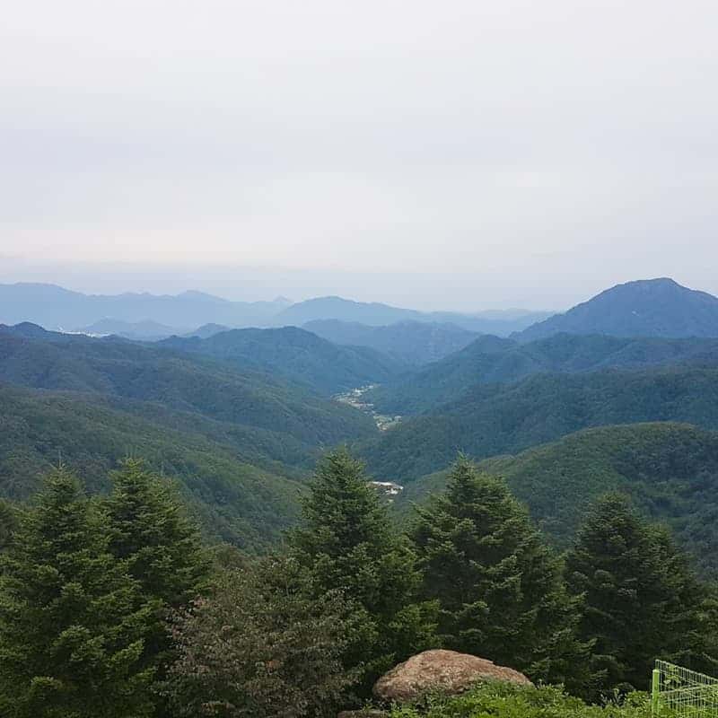 [춘천] 계곡 물놀이+고추장 만들기+토종닭 백숙 사진 3