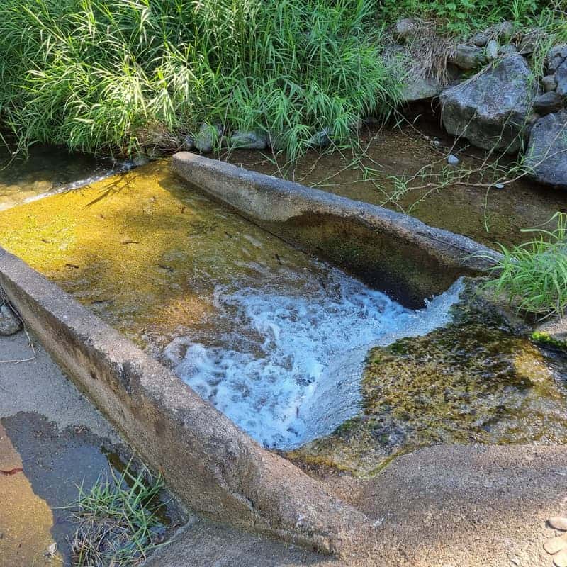 [춘천] 계곡 물놀이+고추장 만들기+토종닭 백숙 사진 4