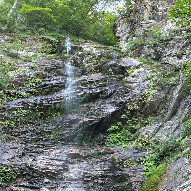 [春川（チュンチョン）/当日] 私の完璧な避暑旅行🌊 渓谷ペクス（鶏の水炊き）+九曲（クゴク）瀑布+国立春川博物館の写真4