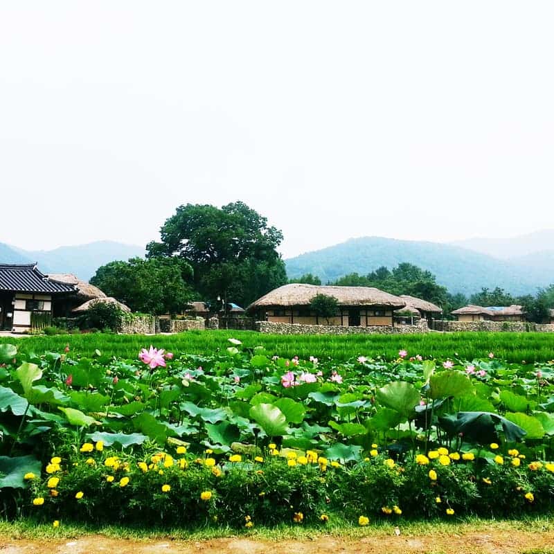 [아산] 외암민속마을, 한옥민박+엿만들기+시골밥상 사진 3