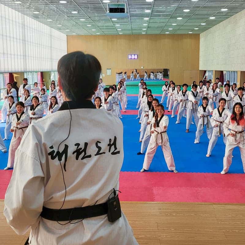 [태권도원/당일] 태권스테이 K -컬처 원데이투어 사진 7