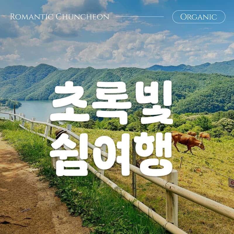 [춘천] 한국의 스위스에서, 도심 탈출 초록 여행 🌳 사진 1